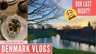 WANDERING COPENHAGEN | FANCY DINNER | ROOFTOP BAR | DENMARK VLOGS 2019