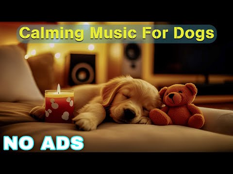 12 Hours of Dog Calming Music For Dogs 💖 Dog Separation Anxiety Music 🐶 Pet claming music🎵No Ads