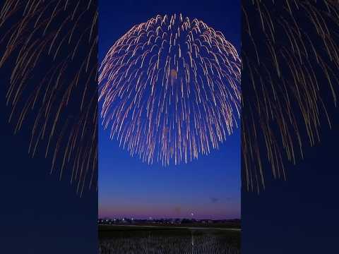 2024/06/07新潟県新発田市紫雲寺地区...#稲荷岡大祭 #稲荷岡祭り #花火 #祭り #新発田 #fireworks