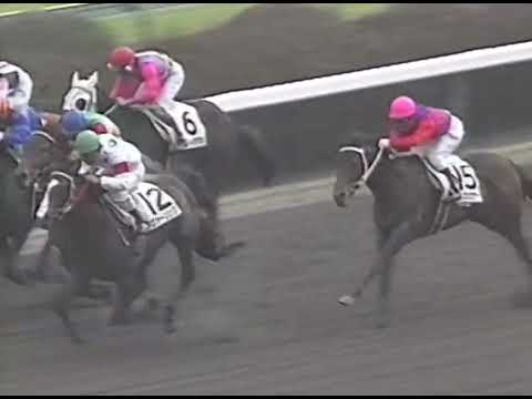 ヤマニンゼファー 1991年 4歳新馬戦 (優勝馬：ヤマニンゼファー)(実況：ラジオたんぱ)