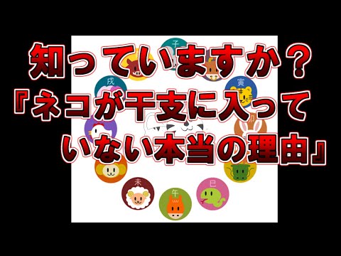 【ゆっくり解説】なぜネコが干支にいないか気になったことありませんか？その謎を解説します『ネコが干支に入っていない本当の理由』