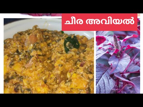 അസാധ്യ രുചിയിൽ ചീരഅവിയൽ |cheera aviyal| Pineapple Express Kitchen