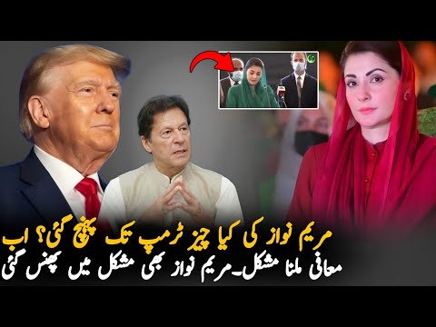 Maryum Nawaz In Trouble After Trumps Victory, Analysis | PMLN News | US Elections News Analysis