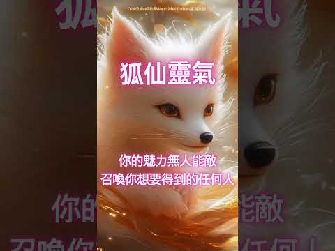 狐仙神助🦊你的魅力無人能敵🦊莫名提升顏值與魅力，你讓人無法抗拒，強效召喚你想要得到的任何人事物，越聽越迷人越自信，增強戀愛魅力 桃花運 貴人運，好運能量音樂，吸引力法則 #冥想 #正能量 #心靈療癒