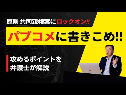 共同親権にGo!!パブコメに書き込め！【法制審議会の中間試案】弁護士が攻めるポイントを解説