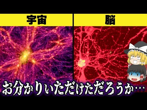 【気づいてしまった】宇宙って実は 生物の脳細胞なんじゃね？【ゆっくり解説】