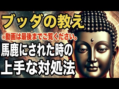 自分の事を馬鹿にする人への上手な対処法｜ブッダの教え