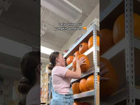 Let’s unload our pumpkin donations 🧡🎃 #pumpkin #teacher #pumpkinpatch