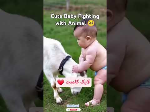 Cute Baby Fighting With Animal 🥺😂