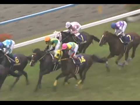 ジャングルポケット 2001年 第62回菊花賞(GI) (優勝馬：マンハッタンカフェ) (実況：ラジオたんぱ)