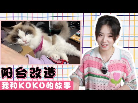 正式介绍一下我的猫猫｜半闲置小阳台改猫咪休息间+储物室