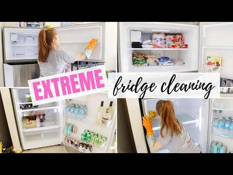 EXTREME FRIDGE CLEANING // CLEAN WITH ME // GROSS & DIRTY FREEZER // DENAE LYNN