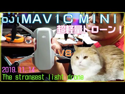 【ドローン】DJI マビックミニ・おすすめ初期設定 [Drone] DJI Mavic Mini - Recommended Initial Settings Re