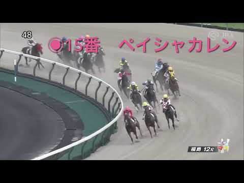 #1  1日1000円ギャンブル【競馬】　逃げて逃げて逃げまくれ！