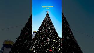 🇺🇸World Biggest Christmas Tree #USA #christmas #sanfrancisco #viralshort #chicago #newyork