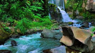 Soothing waterfall sounds for sleep water and nature sounds for sleep relaxing water sounds