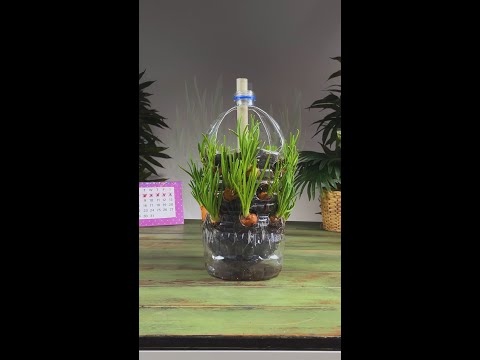 Plastic bottle onion mini Garden