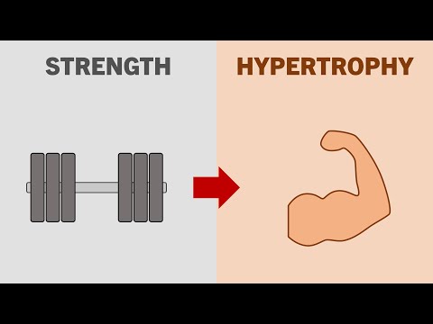 Does Strength Potentiate Hypertrophy?