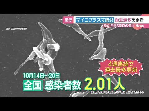 子どもの発熱、長引く咳…マイコプラズマ肺炎が4週連続で過去最多更新　マスクや換気で予防を (24/10/29 17:22)