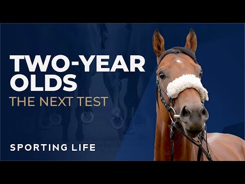 Two Year Olds: The Next Test | Richard Fahey