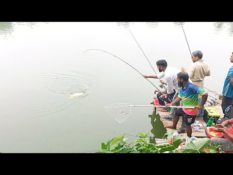 Awesome Traditional Hand Fishing Video | Best Hand Fishing From Mud Water - 2024