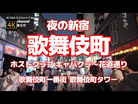 4K【歌舞伎町～夜の新宿】【ホストクラブ キャバクラ～花道通り】【歌舞伎町一番街】【東急KABUKICHO TOWER歌舞伎町タワー～シネシティ広場】【歌舞伎超祭】【区役所通り～ひげガール】