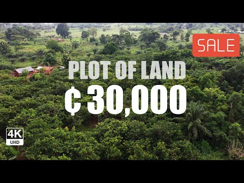 3 Plots of Land for Sale ₵30000 Each at Asunten Sunyani Ghana 4K