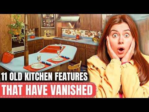 11 Old Kitchen Features That Have VANISHED Over Time!