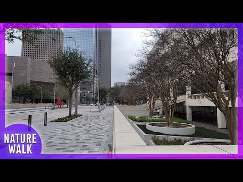 Beautiful day in the city at the gardens (City Walk Visualizer)