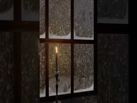 On a snowy winter day #SNOW #snowwindows #WINTER #SNOWY #snowyday  #snowywinter #snowambience