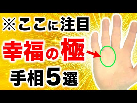 【手相】１０万人に１人の幸せを超えた超幸福！幸福の極み手相５選【超ハッピーW線】