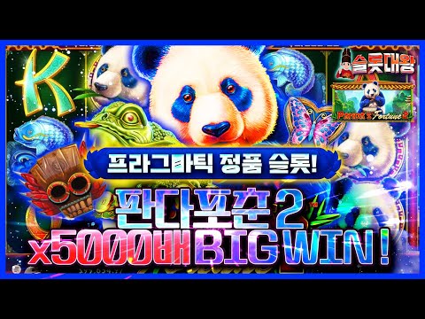 [슬롯]👨‍🎓 프라그마틱 정품슬롯🎰 판다 포춘2🐼X5,000배 BIG WIN 당첨❗