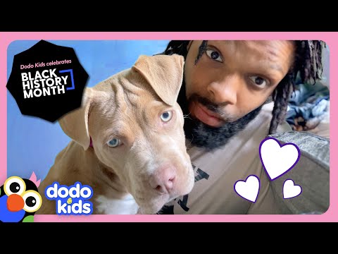 Everyone Is Afraid Of This Sweet Dog...Until Her Dad Sets Up A Pittie Playdate! | Dodo Kids