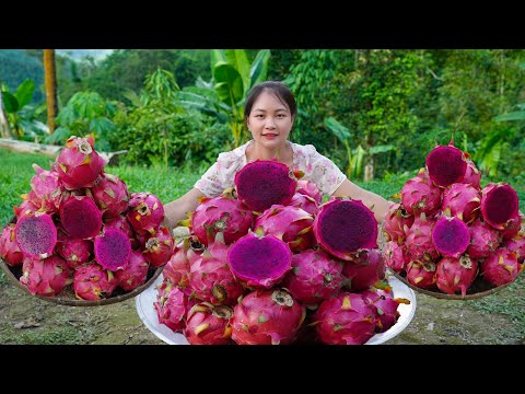 DRAGON FRUIT - Pick dragon fruit and make dragon fruit noodles | COUNTRY COOKING