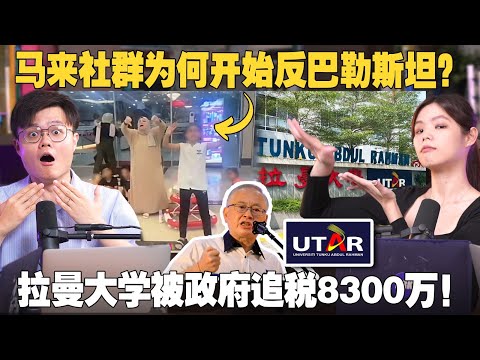 为什么马来人开始吃回麦当劳？拉曼大学被追税务8300万，谁的错？【#新闻随便看 5/10】