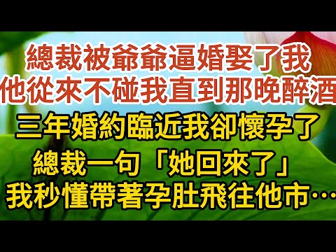 《偷來的幸福》第01集：總裁被爺爺逼婚娶了我，他從來不碰我直到那晚醉酒，三年婚約臨近我卻懷孕了，總裁一句「她回來了」，我秒懂帶著孕肚飛往他市……#戀愛#婚姻#情感 #愛情#甜寵#故事#小說#霸總