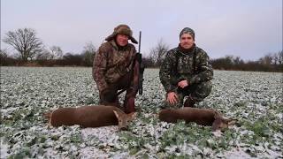 Hunting roedeer in the danish winter - Rainsford Hunting