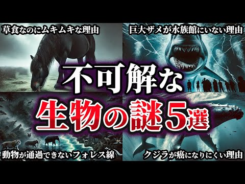 【ゆっくり解説】意外と知らない不可解な生物の謎5選