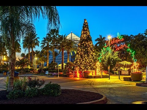 The Holidays are Magical at Moody Gardens in Texas