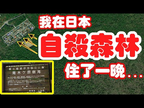 【日本旅遊】我在日本“自殺森林”青木原樹海裡住了一晚・2023年日本山梨縣富士山周邊自由行・青木原樹海・精進湖民宿村【4K Vlog】Aokigahara Jukai