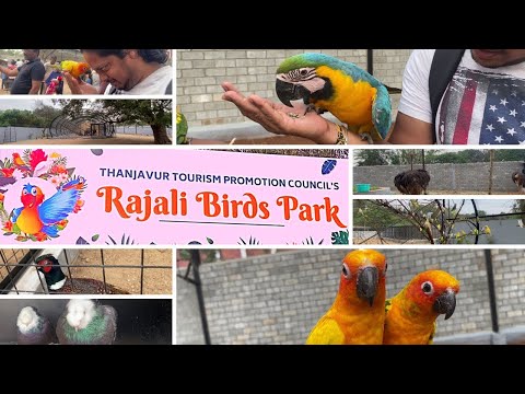 Rajali Birds Park in Thanjavur: A Mesmerizing Encounter with Feathered Beauties!