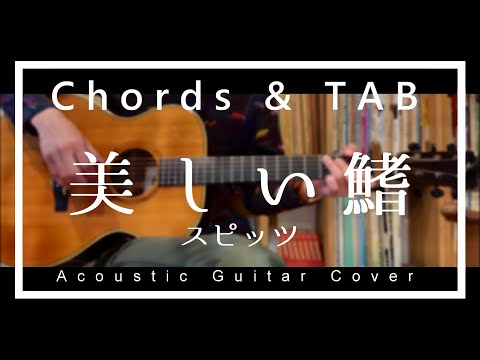 【コード、TAB】スピッツ / 美しい鰭【弾いてみた】