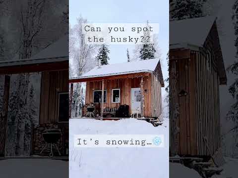 The cabin is ready for more snow.  #alaska #cabin #snow #asmr #cozycabin #snowstorm