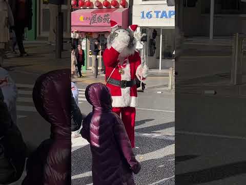 新宿に猫のサンタ #japan #Xmas #cat #santaclaus