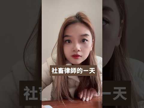 【梅子律師】社畜律師的一天～到底律師都在忙什麼？為什麼律師總是黑眼圈😅這集有答案