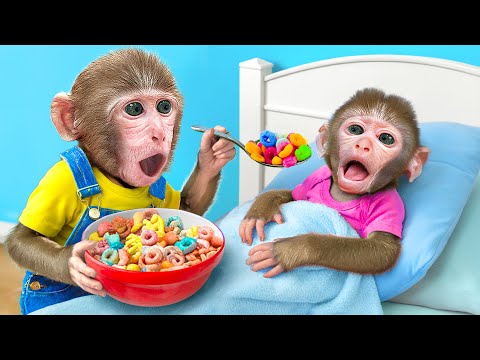 KiKi Monkey being Best Big Brother and Take Care of Baby Monkey | KUDO ANIMAL KIKI