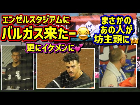 衝撃‼️バルガスが真面目に😂あの人が坊主に😱 【現地映像】9/16エンゼルスvsホワイトソックス