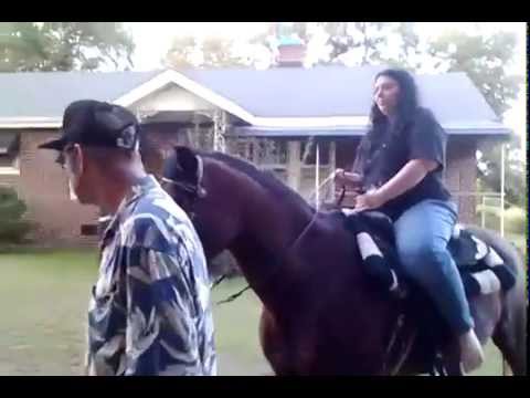 Riding A Horse 10-14-2014(1)