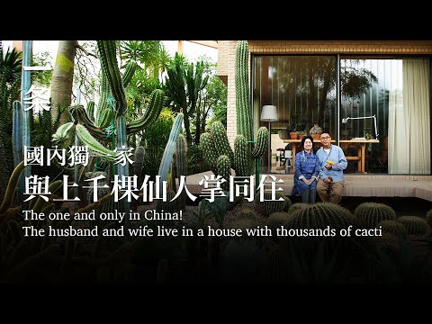 [EngSub]The unique one in China! The husband and wife live in a 300m² house with thousands of cacti