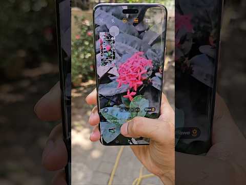 Honor Magic 6 Pro Zoom Test 🔥